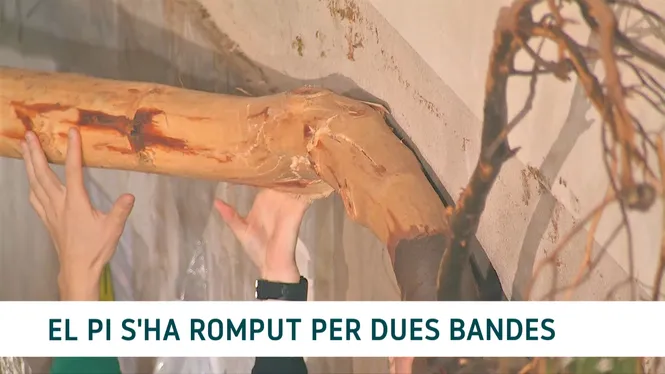 NOTÍCIES CAP DE SETMANA VESPRE