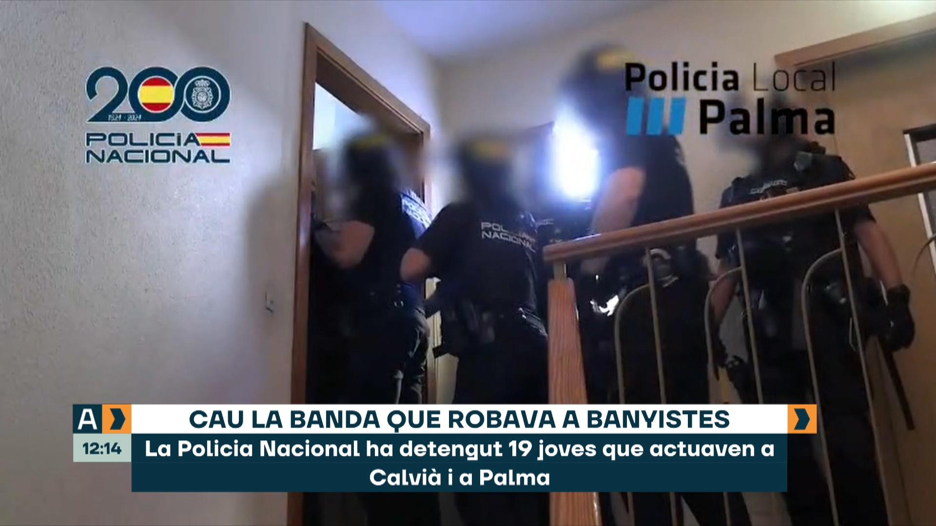 IB3