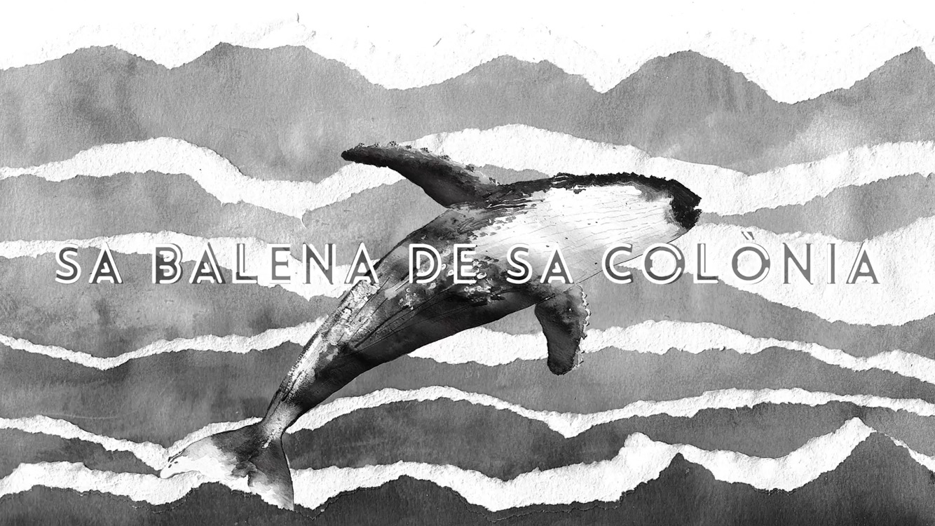 Sa balena de sa Colònia