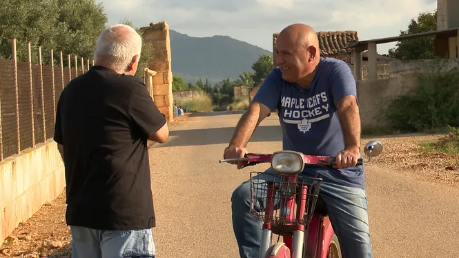 COLLIREM OLIVES A SON MARCH, GAUDIREM D'UNA JORNADA ENTRE FRUITERS A BÚGER I PREPARAREM RAOLES DE BLEDA I PEIXOS DE LA TERRA  A  ALGAIDA