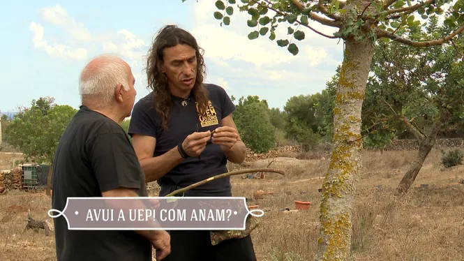SEMBRAREM I FAREM EMPELTS A SON CARRIÓ, VISITAREM ALS NOUS AMITGERS DE S'ARANJASSA I CONEIXEREM ALS SENYORS DEL LLOC, FAREM LLATA AMB TOTA UNA EXPERTA DE LA PAUMA