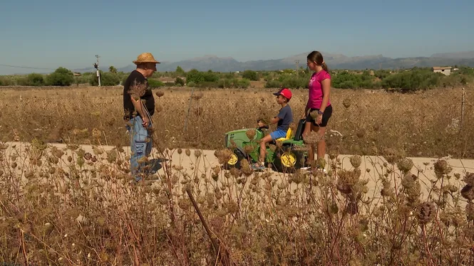 Visitarem l'hort de la botiga de Can Jordi a Eivissa