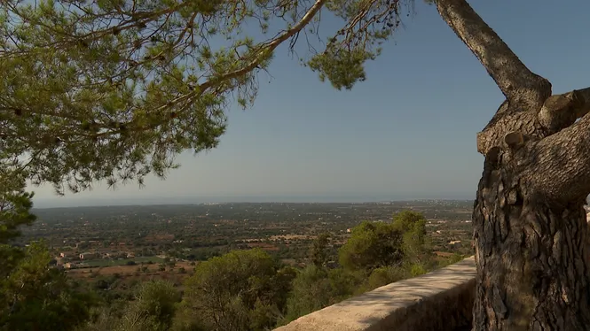 Coneixerem la toponímia del Migjorn de Mallorca i Museu Etnogràfic a Campos, segarem a Algaida i cuinarem una ensalada pagesa eivissenca