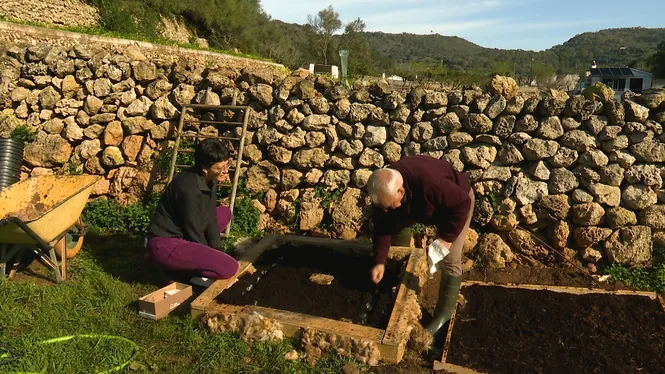 CONEIXEREM UNS JOVES PAGESOS A FERRERIES, VISITAREM ELS ALUMNES DEL CEIP JOAN TAIX DE SA POBLA I CUINAREM BACALLÀ AMB TOMÀTIGA A MENORCA