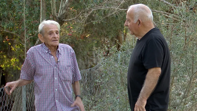 DONAREM MENJAR A SOMERES I ASES BALEARS, VISITAREM UNA GRANJA DE PORCS, COLLIREM POMES A MENORCA I CUINAREM COSTELLETES DE ME