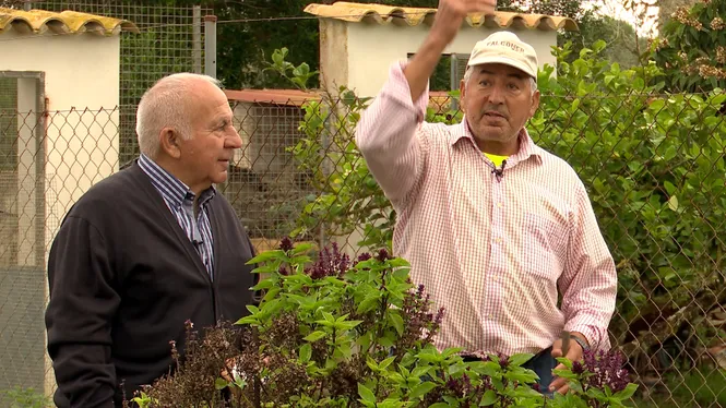 UN ANY MÉS SEREM A LA FIRA DE LES FIRES 