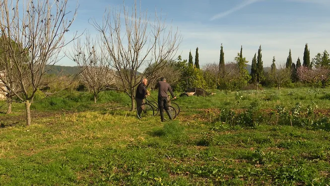 PAGÈS I CLAMATER DE SA POBLA, TARONGES A SANT LLORENÇ DE BALÀFIA I AMETLES GARAPINYADES A SANTA MARIA DEL CAMÍ 