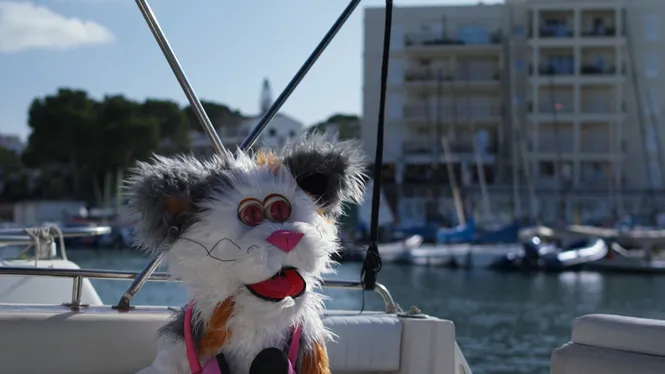 GENT DE LA... AI, QUIN MAREIG