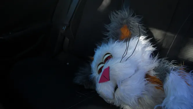 AL PEU DE LA NOTÍCIA