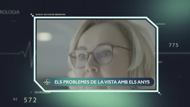 L'ENVELLIMENT DE LA VISTA