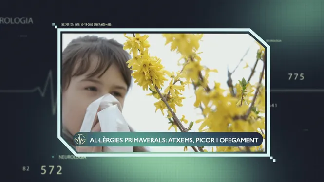 LA PRIMAVERA, QUAN L'AL·LÈRGIA S'ALTERA