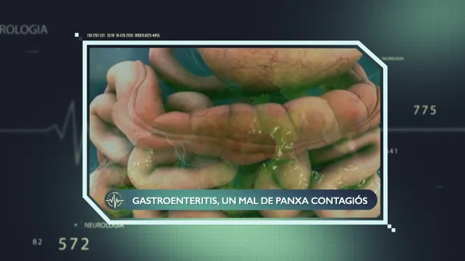 GASTROENTERITIS, UN VIRUS DE FÀCIL CONTAGI