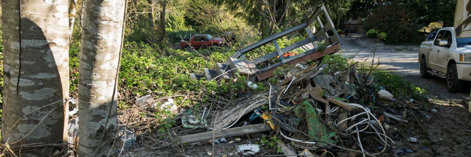 Cover for Cape Horn Community Flood Recovery Clean up
