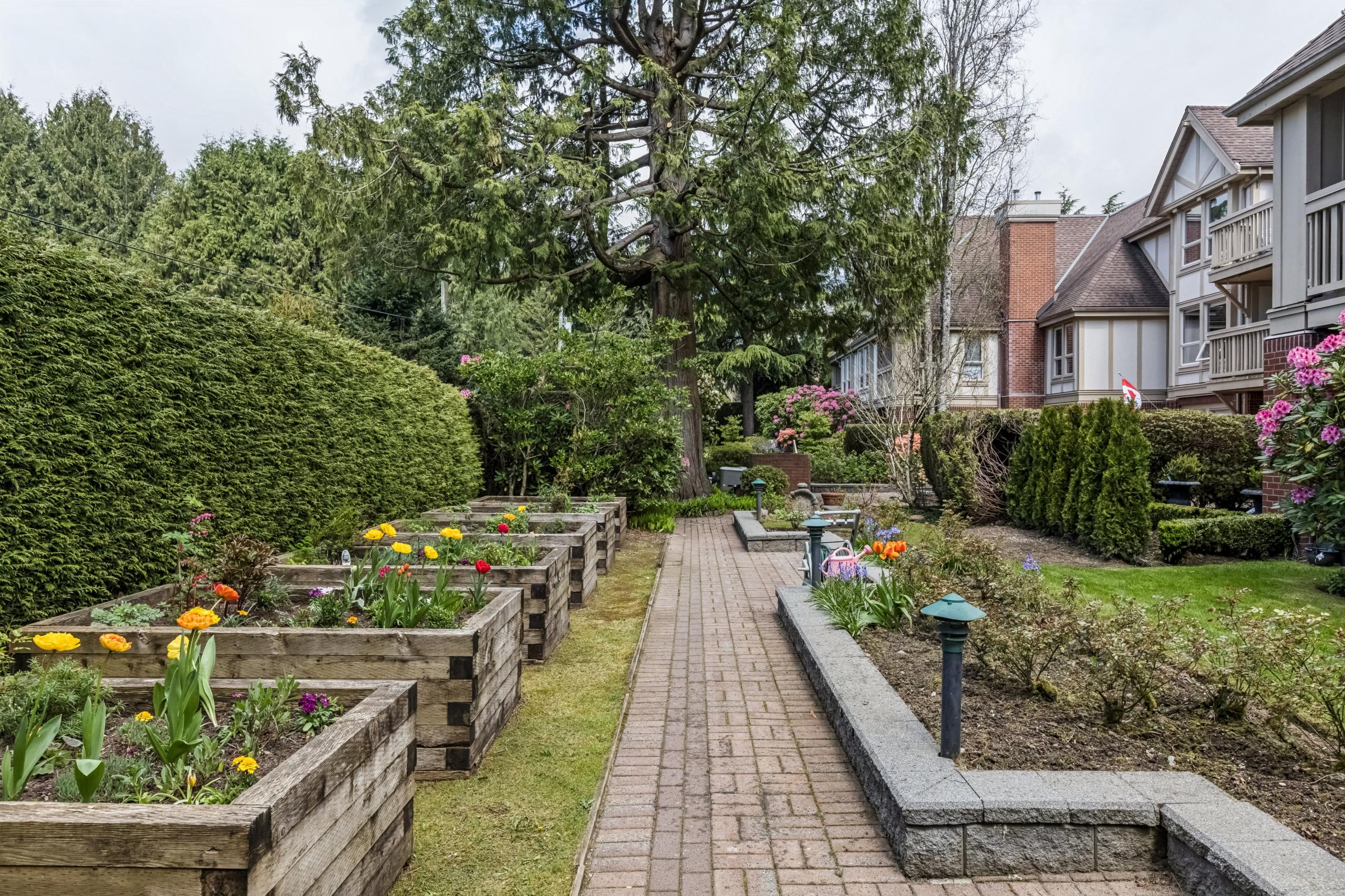 105-843 22nd Street, West Vancouver listing image
