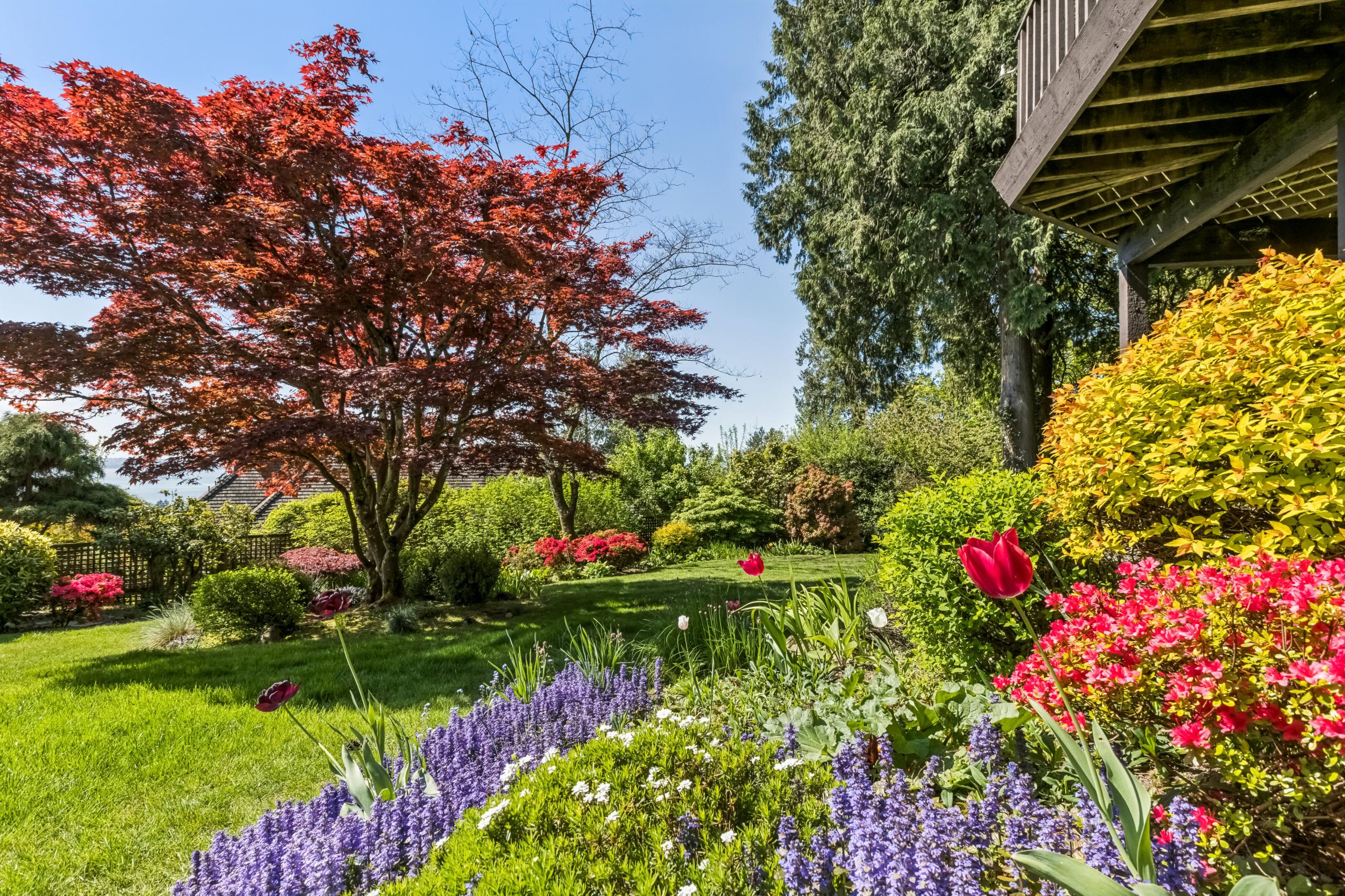 2440 Queens Avenue, West Vancouver listing image