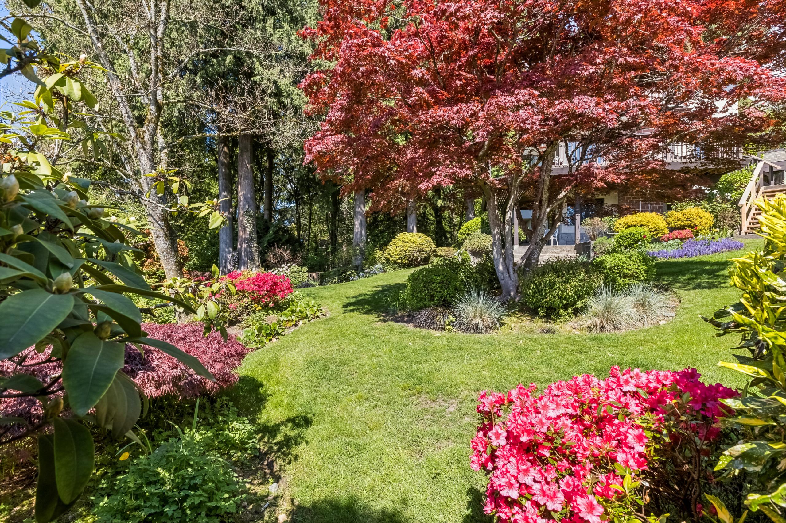 2440 Queens Avenue, West Vancouver listing image