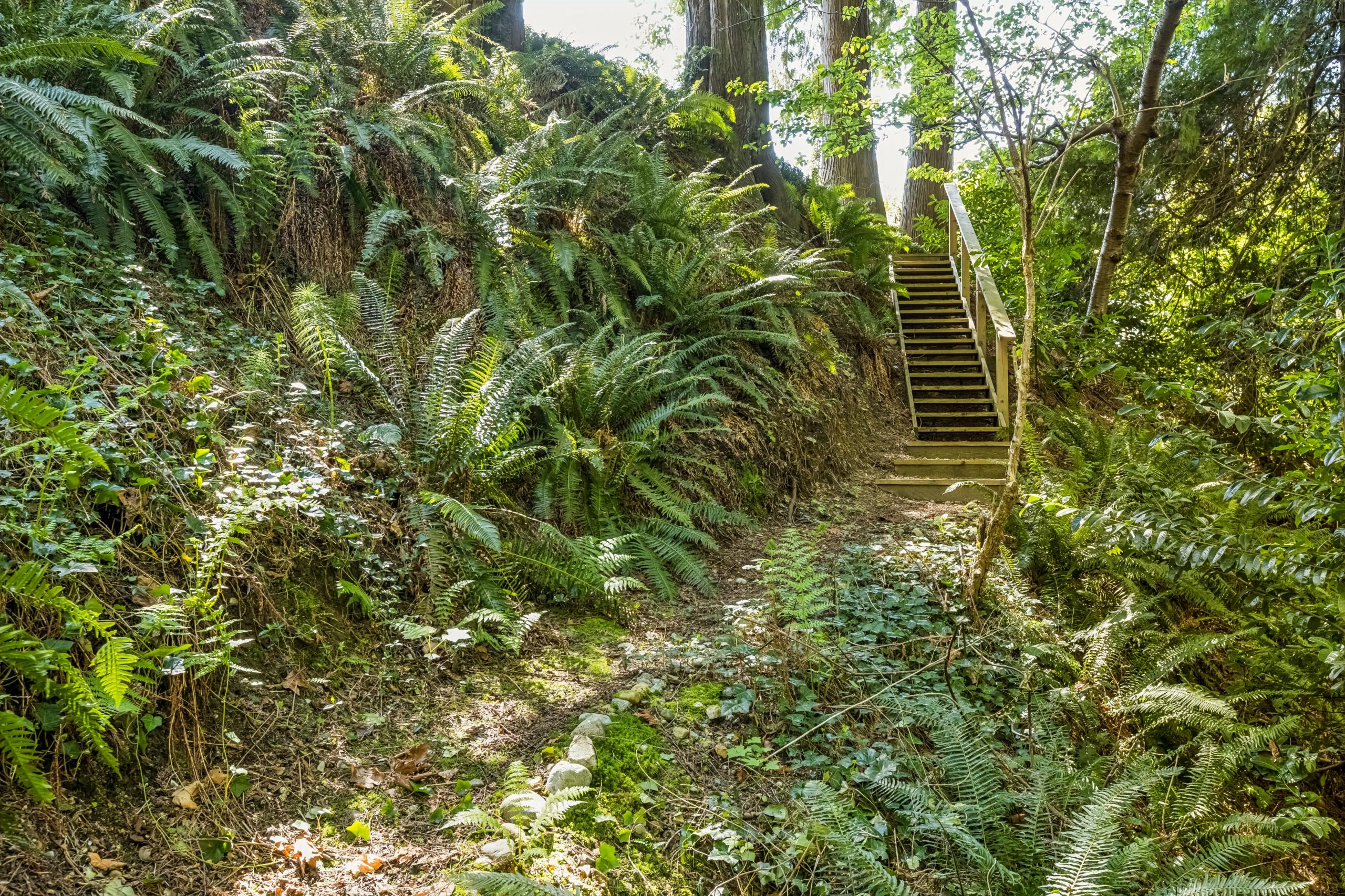 2440 Queens Avenue, West Vancouver listing image