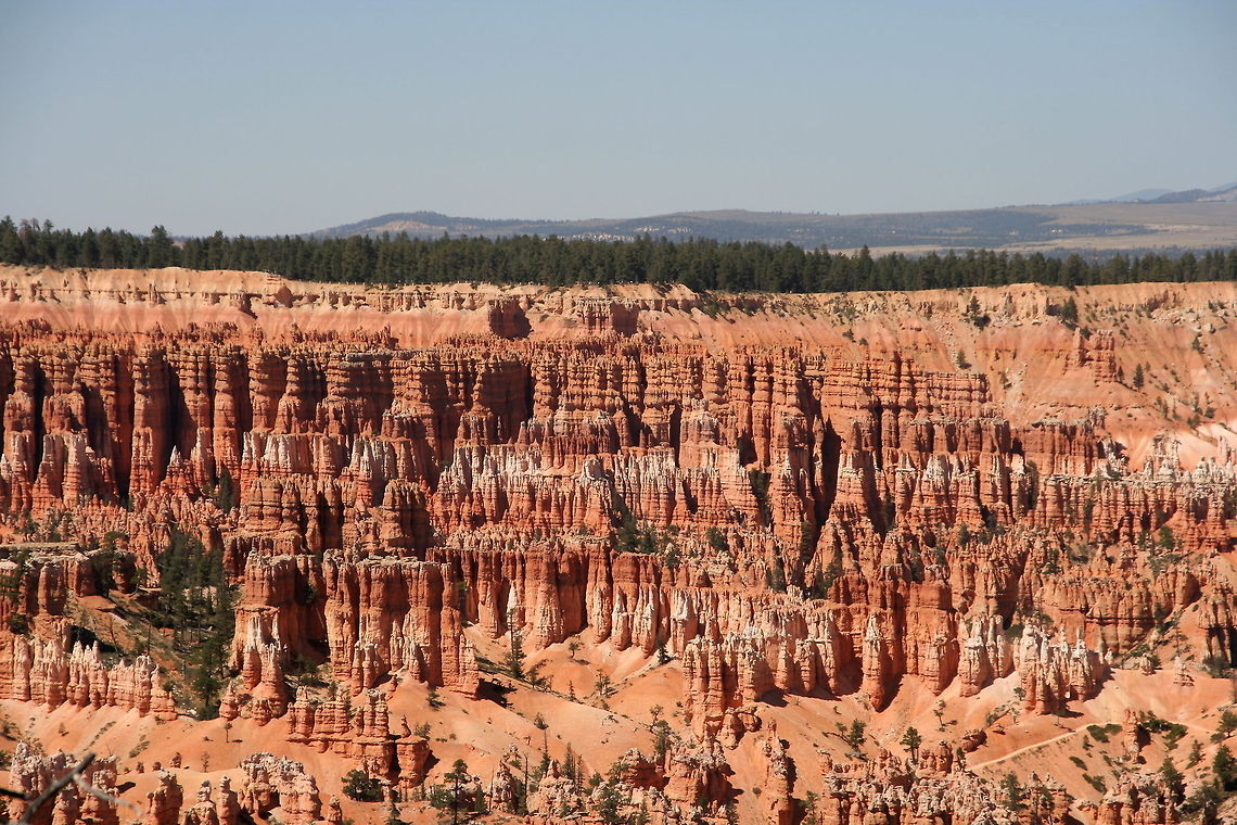 Bryce landscape These typical red stone columns form the spectacular view of Bryce Canyon National Park Bryce Canyon,Geotagged,National park,North America,Red Rock,Rock Pillar,Summer,United States