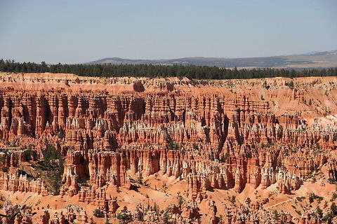 Bryce landscape These typical red stone columns form the spectacular view of Bryce Canyon National Park Bryce Canyon,Geotagged,National park,North America,Red Rock,Rock Pillar,Summer,United States