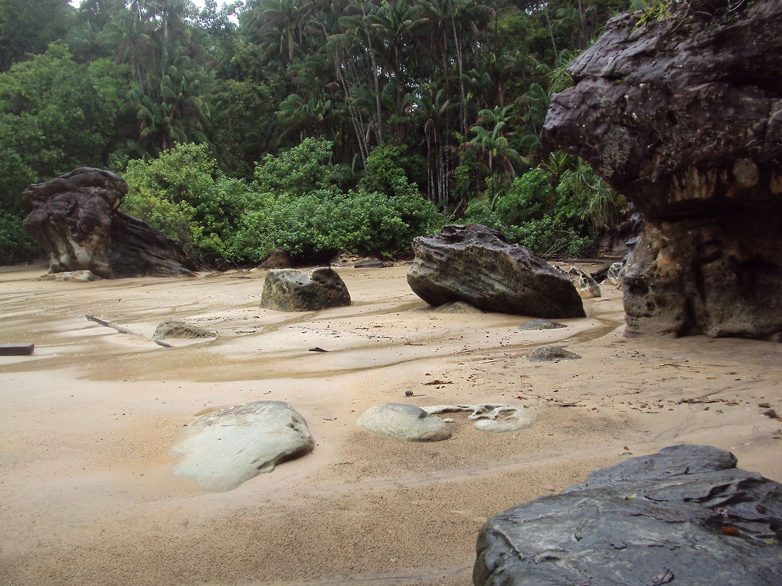Bako National Park beach This is a shot of the beach of the Bako National Park, situated in Sarawak, Borneo Asia,Bako,Beach,Borneo,Malaysia,National Park,Sarawak