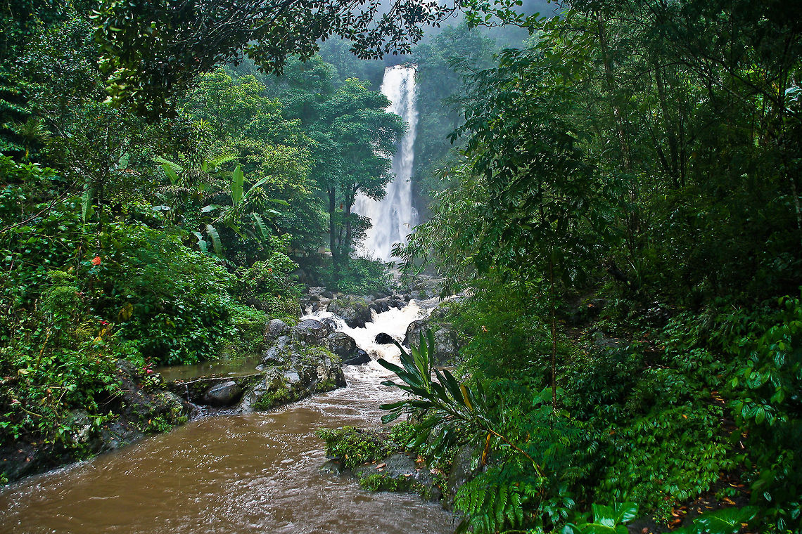 Git Git waterfall This was shot on a rainy day in the rainforest of Bali, Indonesia Asia,Bali,Geotagged,Indonesia,Rainforest,Waterfall