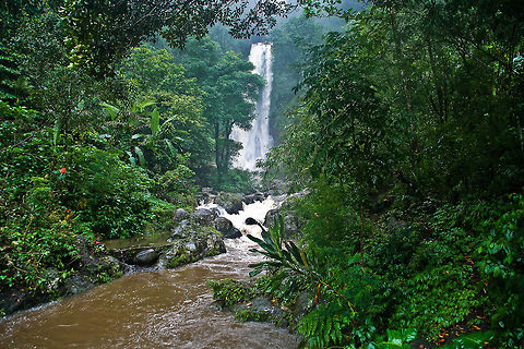 Git Git waterfall This was shot on a rainy day in the rainforest of Bali, Indonesia Asia,Bali,Geotagged,Indonesia,Rainforest,Waterfall
