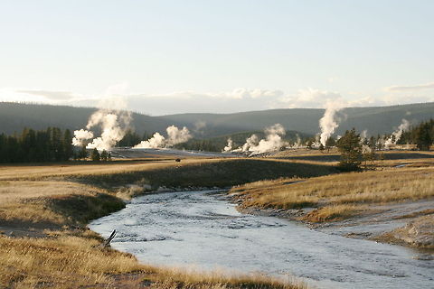 Land of the geysers This picture shows the geologically active landscape of Yellowstone, picturing several geysers in the background Geyser,North America,United States,Yellowstone National Park