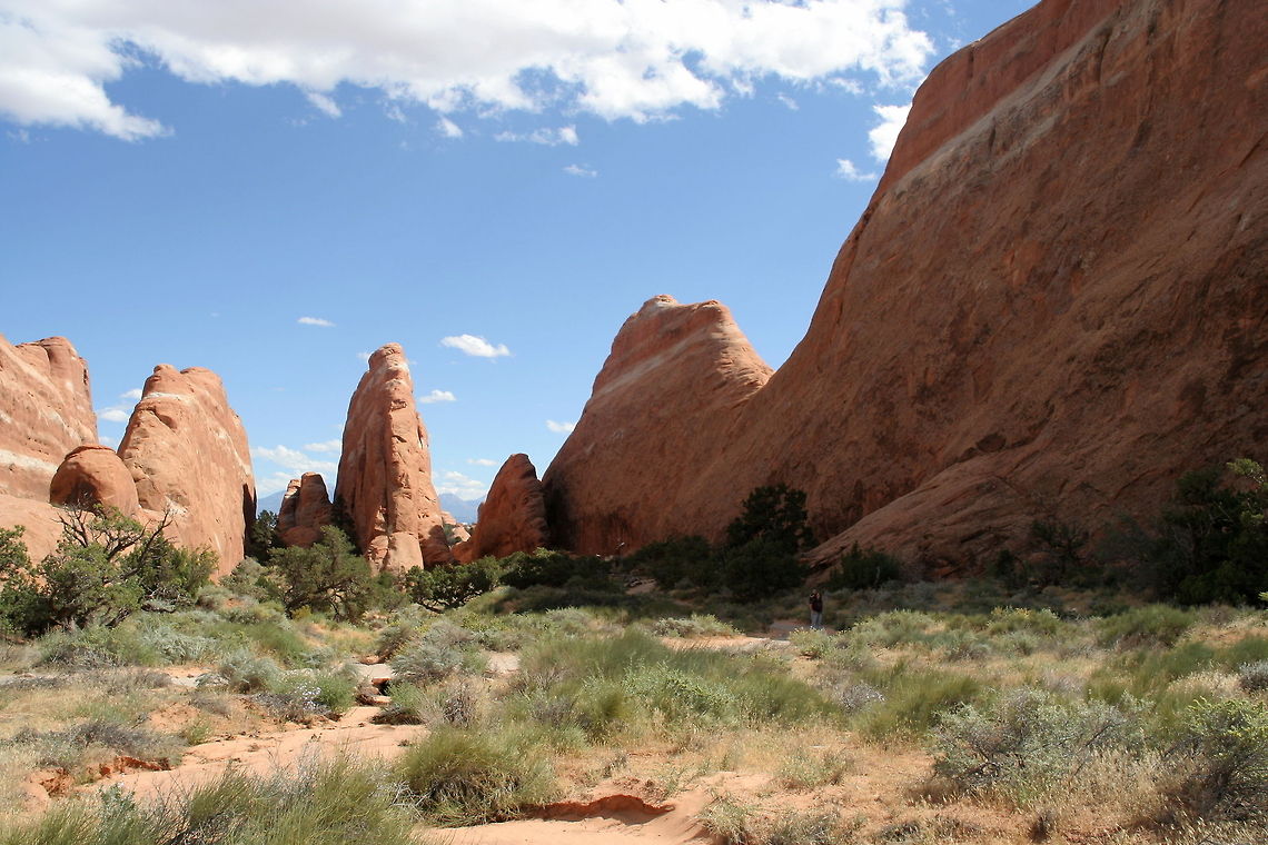 Smooth red rocks Typical landscape of Arches National Park in Utah Arches,National park,North America,United States,Utah
