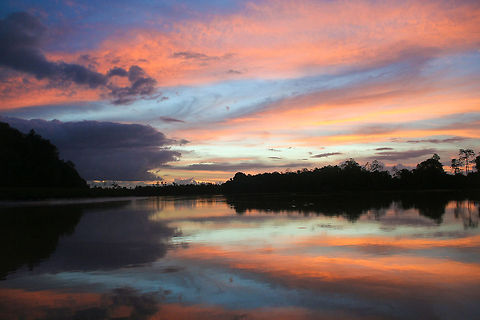 Sunset in Borneo Sunset on the Kinabatangan river in Sabah, Borneo Asia,Borneo,Sunset