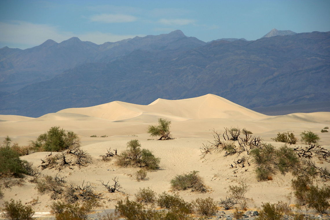 Sand dunes of Death Valley This picture was taken right in the heart of Death Valley in extreme heat. That day it was over 45 degrees celcius. Death Valley,Geotagged,National park,North America,Sand Dunes,United States