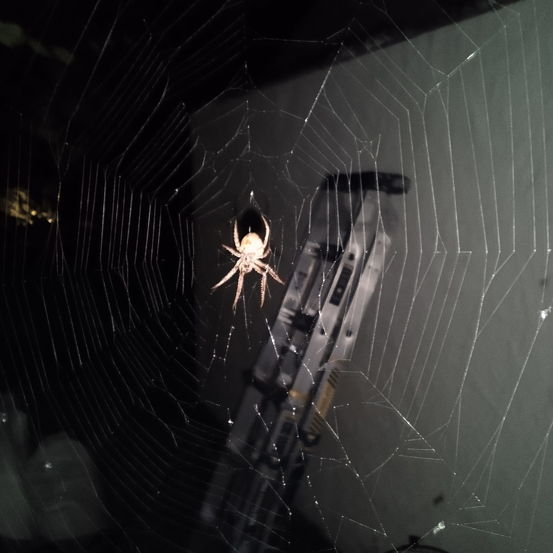 IMG_20230913_150601_185