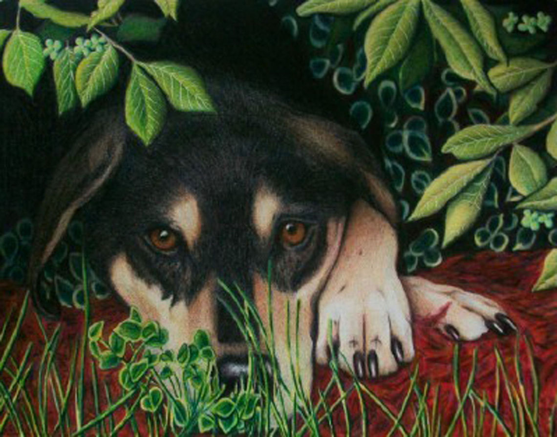 Henry the dog Commissioned Pet Portrait<br />
Colored Pencil on Paper art,canine,colored pencil,dogs,pet drawing,pet portrait