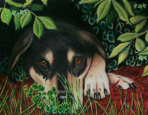 Henry the dog Commissioned Pet Portrait
Colored Pencil on Paper art,canine,colored pencil,dogs,pet drawing,pet portrait
