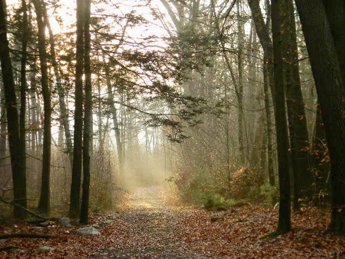 lovely trail Lit with a warm glow <br />