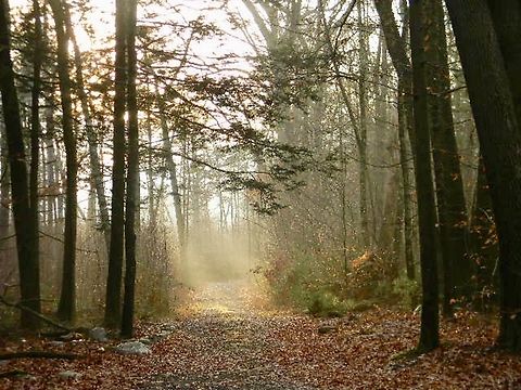 lovely trail Lit with a warm glow
