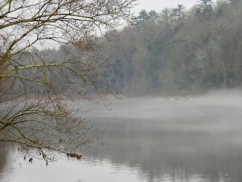 fog over river on a quiet day Delaware,Mist,River,foggy