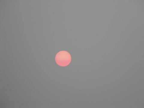 the sun this was taken a few years ago near Colorado,
the bright pink hue was a result of wildfires that were happening. Wildfire,sun