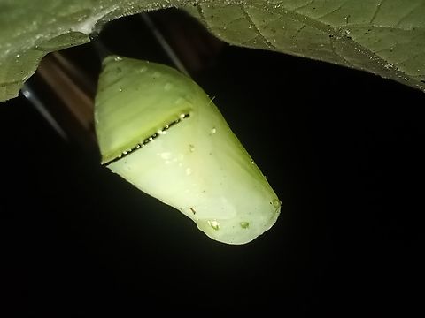 IMG_20231213_094624913