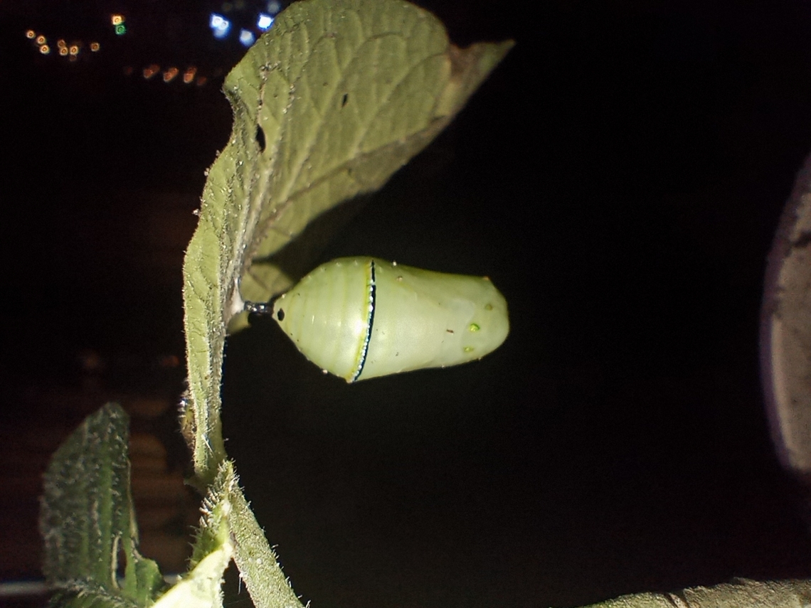 IMG_20231213_094759413_HDR