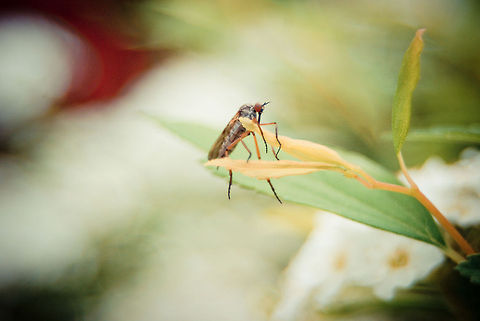 Hang on Little Buddy.