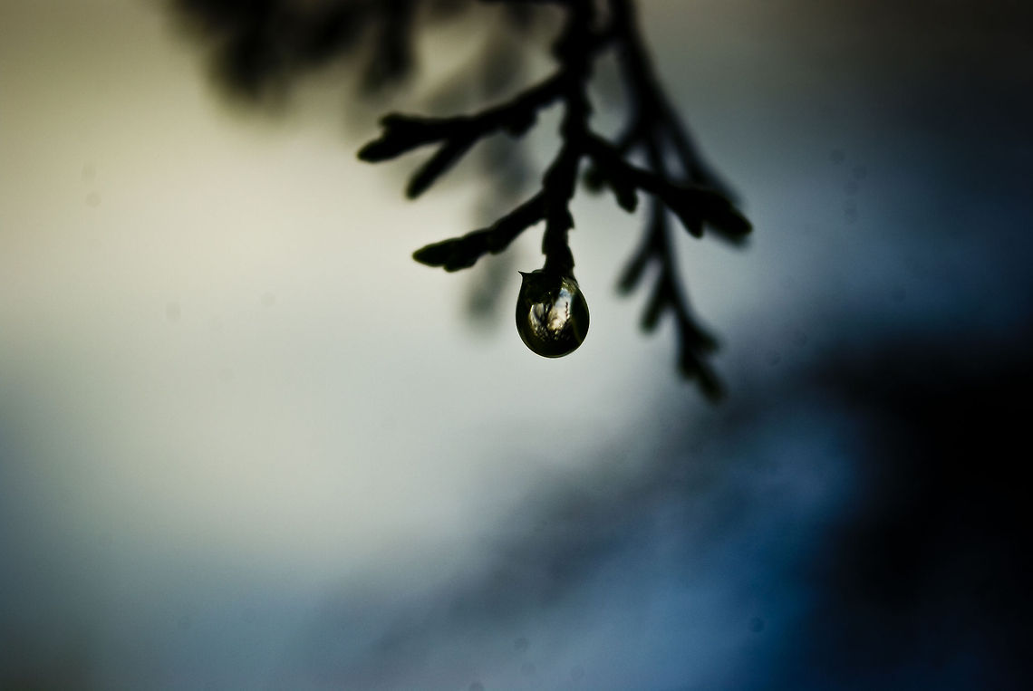 Single Drop <br />
 Raindrops