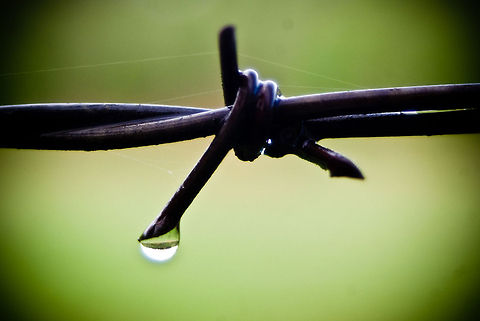 Barbie's wire SONY DSC reflection