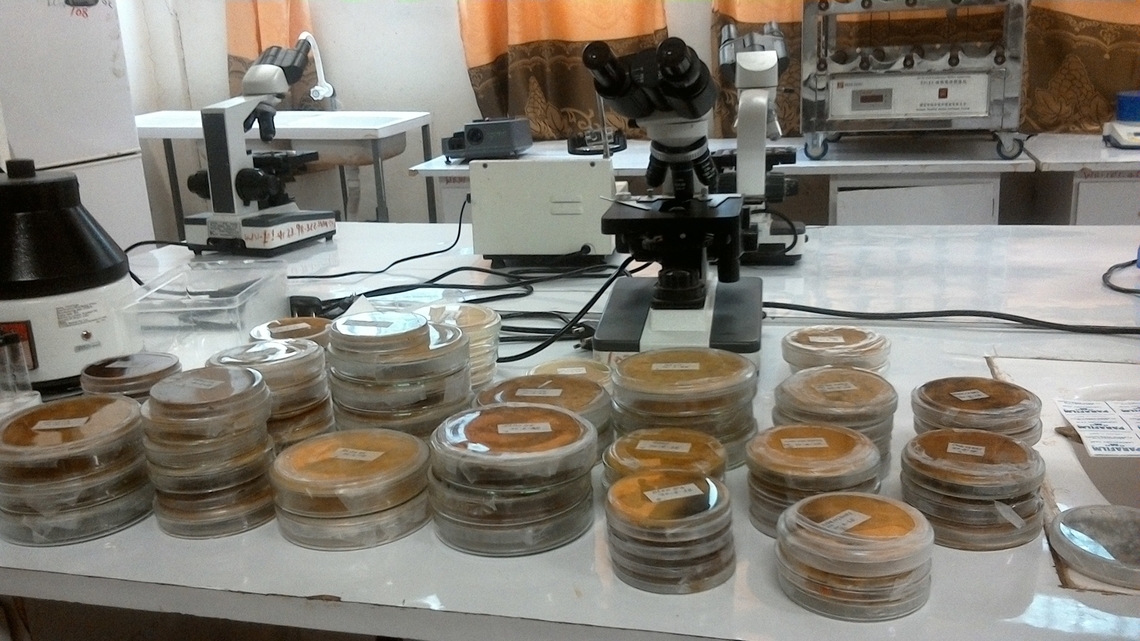 0.WIN_20180714_12_09_29_Pro_