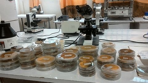 0.WIN_20180714_12_09_29_Pro_