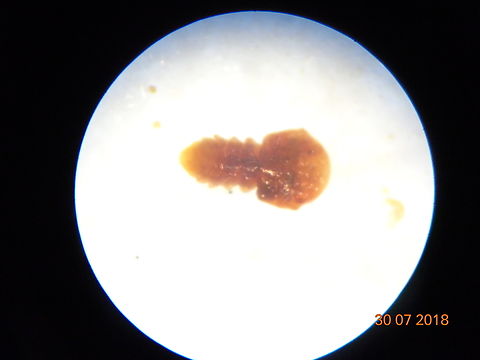 1.DSC07108_