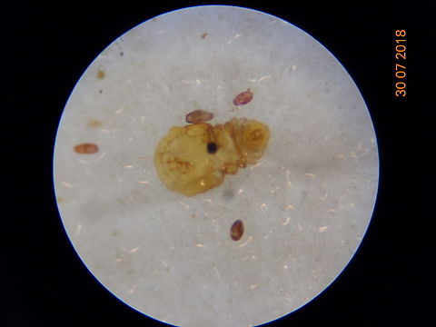 1.DSC07109_