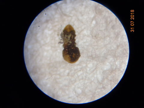 2.DSC07304_