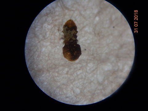 2.DSC07305_