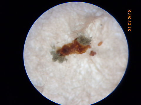 2.DSC07295_