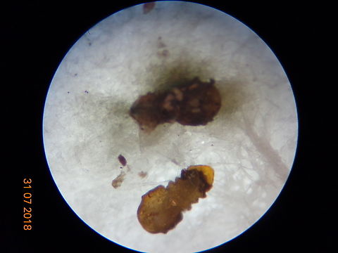 2.DSC07358_